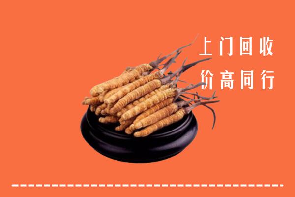 高价求购：扬州宝应县回收散虫草