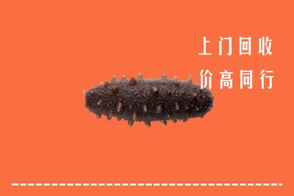高价求购：扬州宝应县回收海参