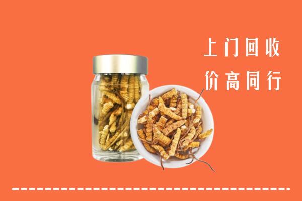 扬州宝应县回收冬虫夏草