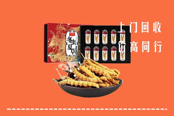 扬州宝应县回收虫草